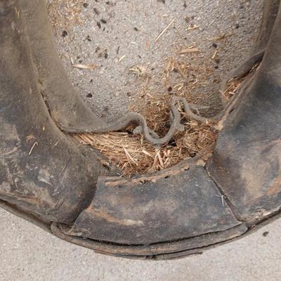 Antique horse collar and hames.