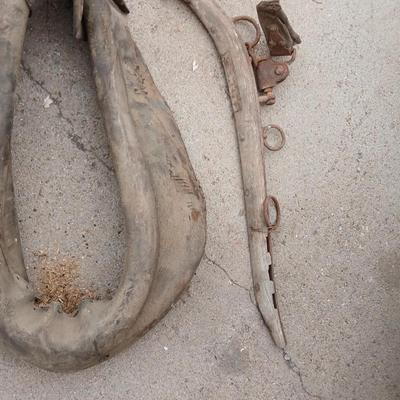Antique horse collar and hames.