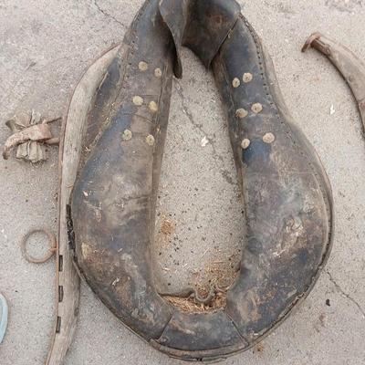 Antique horse collar and hames.