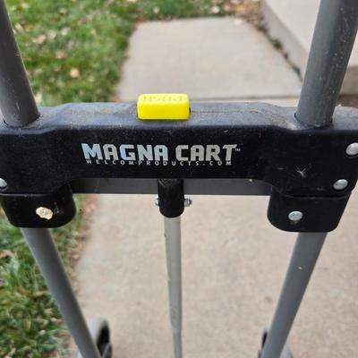 Two folding carts with assortment of luggage