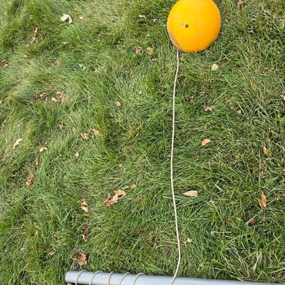 Tetherball on short pole, basketball and a hoola hoop