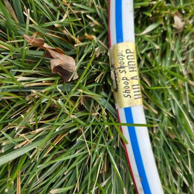 Tetherball on short pole, basketball and a hoola hoop