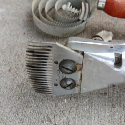 Livestock items - Sunbeam Stewart shear master sheers with a collection of brushes and more