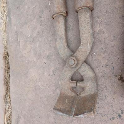 Livestock items - dehorner - trimmers - tagger - assortment of brushes and more