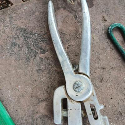 Livestock items - dehorner - trimmers - tagger - assortment of brushes and more