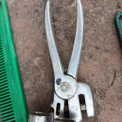 Livestock items - dehorner - trimmers - tagger - assortment of brushes and more