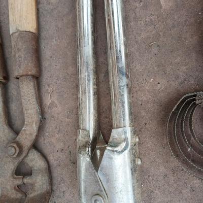 Livestock items - dehorner - trimmers - tagger - assortment of brushes and more