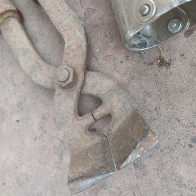 Livestock items - dehorner - trimmers - tagger - assortment of brushes and more