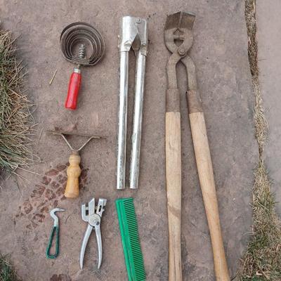 Livestock items - dehorner - trimmers - tagger - assortment of brushes and more