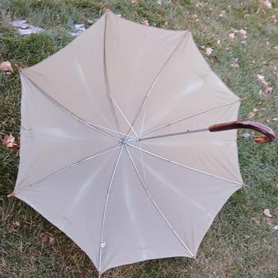 Mobility walker with a London fog umbrella