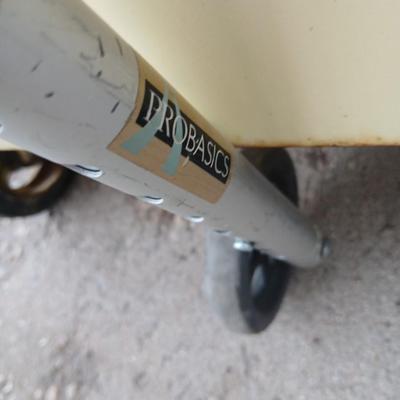 Mobility walker with a London fog umbrella