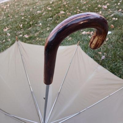 Mobility walker with a London fog umbrella