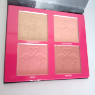 MIAMI HIGHLIGHT AND BLUSH PALETTE PLUS STRAIGHTENER CURLER