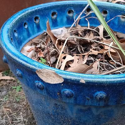 LOT 233: Set of (5) Pottery Planters