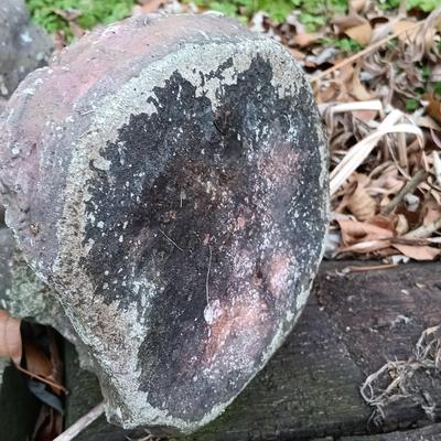 LOT 241: Cement Bashful Girl Garden Statue