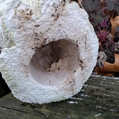 LOT 242: Lawn Ornaments - Concrete Rabbit, Pottery Turtle & Pottery Plant Holder