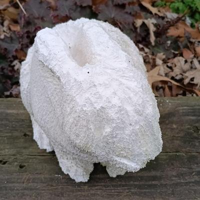 LOT 242: Lawn Ornaments - Concrete Rabbit, Pottery Turtle & Pottery Plant Holder