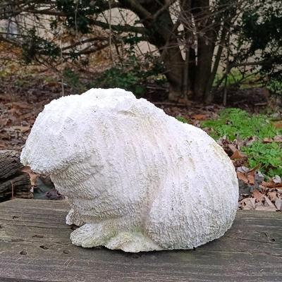 LOT 242: Lawn Ornaments - Concrete Rabbit, Pottery Turtle & Pottery Plant Holder