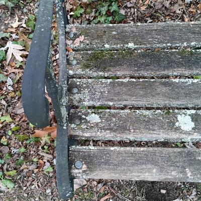 LOT 243: Berkeley Forge Cast Iron Garden Chair