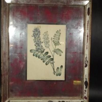 LOT 97C: PAIR VINTAGE FRAMED BOTANICAL PRINTS