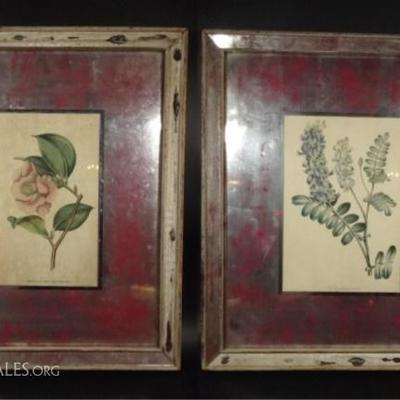 LOT 97C: PAIR VINTAGE FRAMED BOTANICAL PRINTS