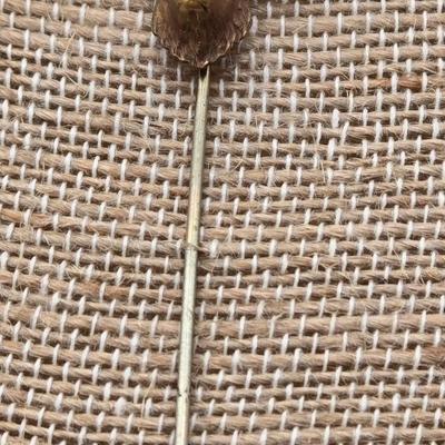 LOT 65: Variety of Animal Stick Pins