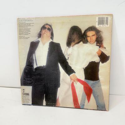 LOT 124: Vintage Rock Vinyl Record Albums: AC/DC, Meat Loaf, Steppenwolf, 38 Special, Iron Butterfly, Grand Funk Railroad (LIST IN...
