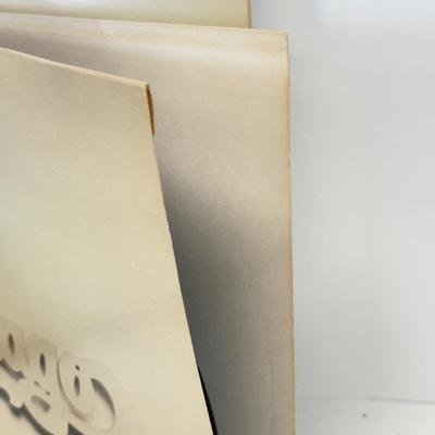 LOT 127: 1970s Classic Rock Vinyl Record Albums: Chicago, Three Dog Night & The Doobie Brothers