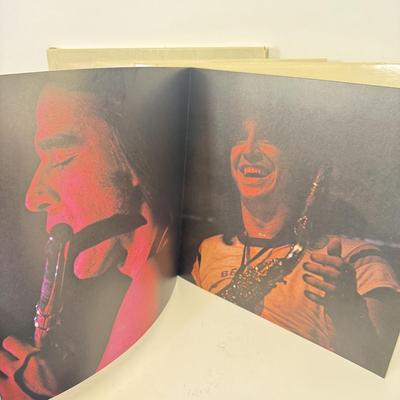 LOT 127: 1970s Classic Rock Vinyl Record Albums: Chicago, Three Dog Night & The Doobie Brothers