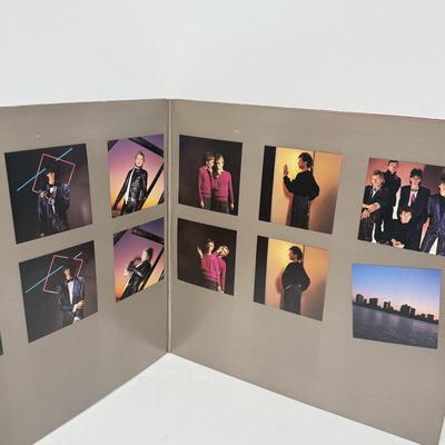 LOT 130: 1980s Vinyl Record Albums: Styx, The Fixx, The Cars, Billy Joel (LIST IN DESCRIPTION)