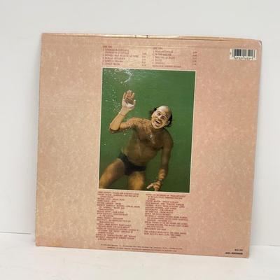 LOT 133: Jimmy Buffett Vinyl Record Albums: Floridays, Changes in Latitudes / Changes in Attitudes, Volcano, A1A, Coconut Telegraph, Last...