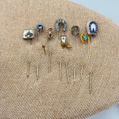 LOT 139: Vintage Western / Horse Themed Hat / Stick Pins