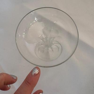 Collection of Hollow Stem Champagne Coupe Glasses (DR-SF)