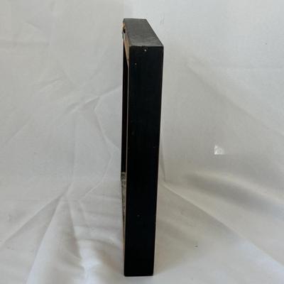 Framed Lee Reynolds Vangaurd MCM Canvas (DR-SF)