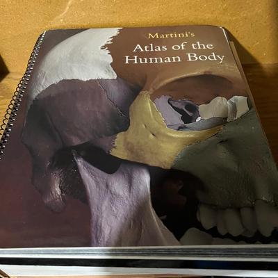 seventh edition of the textbook Fundamentals of Anatomy & Physiology by Frederic H. Martini.