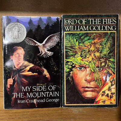 Collection of young adult books