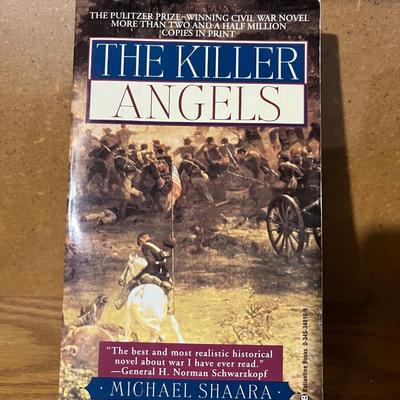 Adult to young reading novel collection