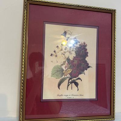 Giroflée Rouge et Géranium Blanc" by the artist Pierre-Joseph Redouté