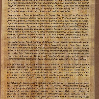 Sale Photo Thumbnail #146: Handcrafted papyrus artwork framed under glass, ready to hang!