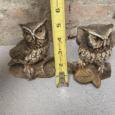 Sale Photo Thumbnail #177: Owl lot...lot of owls