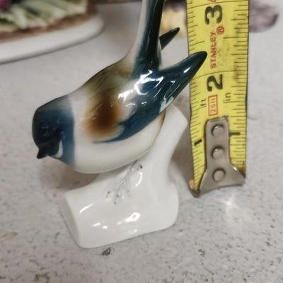 Sale Photo Thumbnail #185: Bird lot...lot of birds