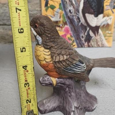 Sale Photo Thumbnail #191: Bird lot...lot of birds