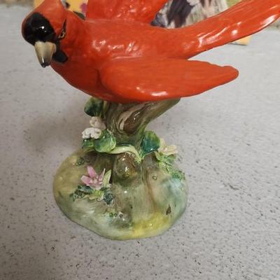 Sale Photo Thumbnail #193: Bird lot...lot of birds