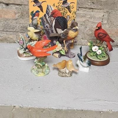 Sale Photo Thumbnail #181: Bird lot...lot of birds