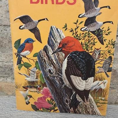 Sale Photo Thumbnail #199: Bird lot...lot of birds