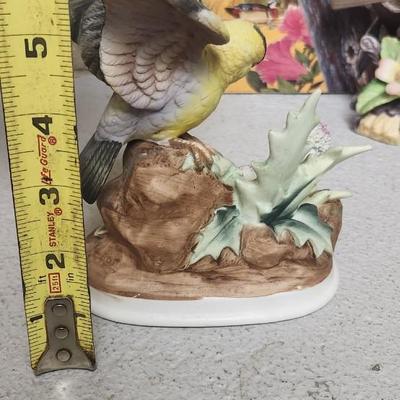 Sale Photo Thumbnail #188: Bird lot...lot of birds