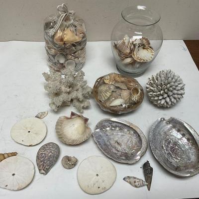 Sale Photo Thumbnail #480