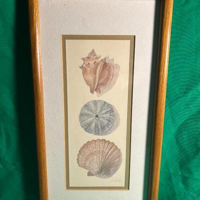 Sale Photo Thumbnail #20: Framed artwork featuring three hand-drawn or printed depictions of a conch shell, a sand dollar, and a scallop shell. Encased in a wooden frame with a beige matte. Item appears to be in good condition, ready for display. Dimensions are unspecified.