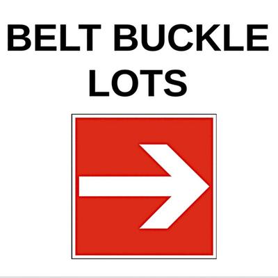 BELT BUCKLE LOTS NEXT