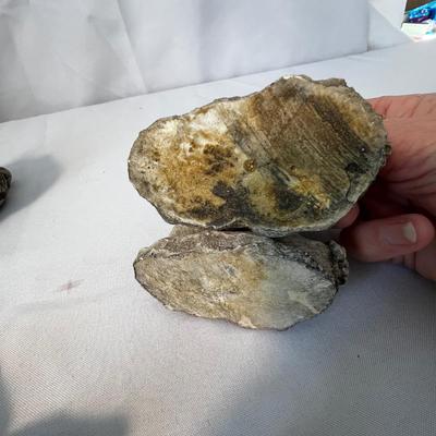 Hand Carved Turtle & More Animal Figurines (DR-RG)